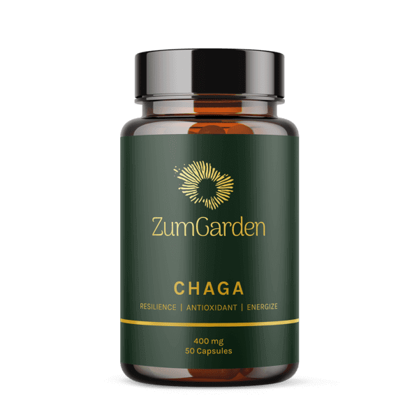 Chaga Mushroom Capsules